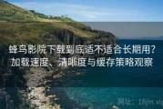 蜂鸟影院下载到底适不适合长期用？加载速度、清晰度与缓存策略观察