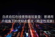 白虎自扣在线使用体验复盘：普通用户视角下的优缺点盘点（稳定性观察）