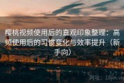 樱桃视频使用后的直观印象整理：高频使用后的习惯变化与效率提升（新手向）