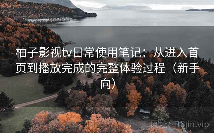 柚子影视tv日常使用笔记：从进入首页到播放完成的完整体验过程（新手向）