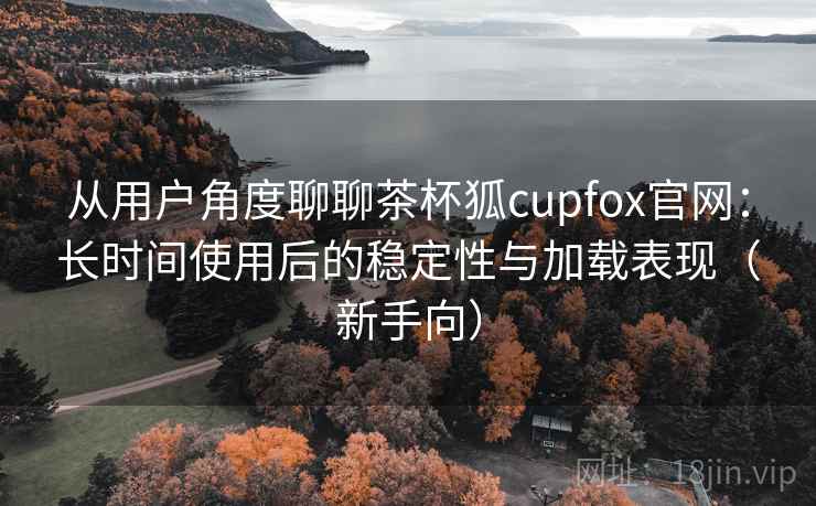 从用户角度聊聊茶杯狐cupfox官网：长时间使用后的稳定性与加载表现（新手向）