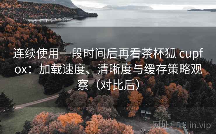 连续使用一段时间后再看茶杯狐 cupfox:加载速度、清晰度与缓存策略观察(对比后) 连续使用一段时间后再看茶杯狐 cupfox:加载速度、清晰度与缓存策略观察(对比后)