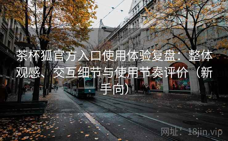 茶杯狐官方入口使用体验复盘：整体观感、交互细节与使用节奏评价（新手向）